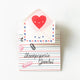 Love Mail Envelope Decorative Double-Sided Acrylic Clip