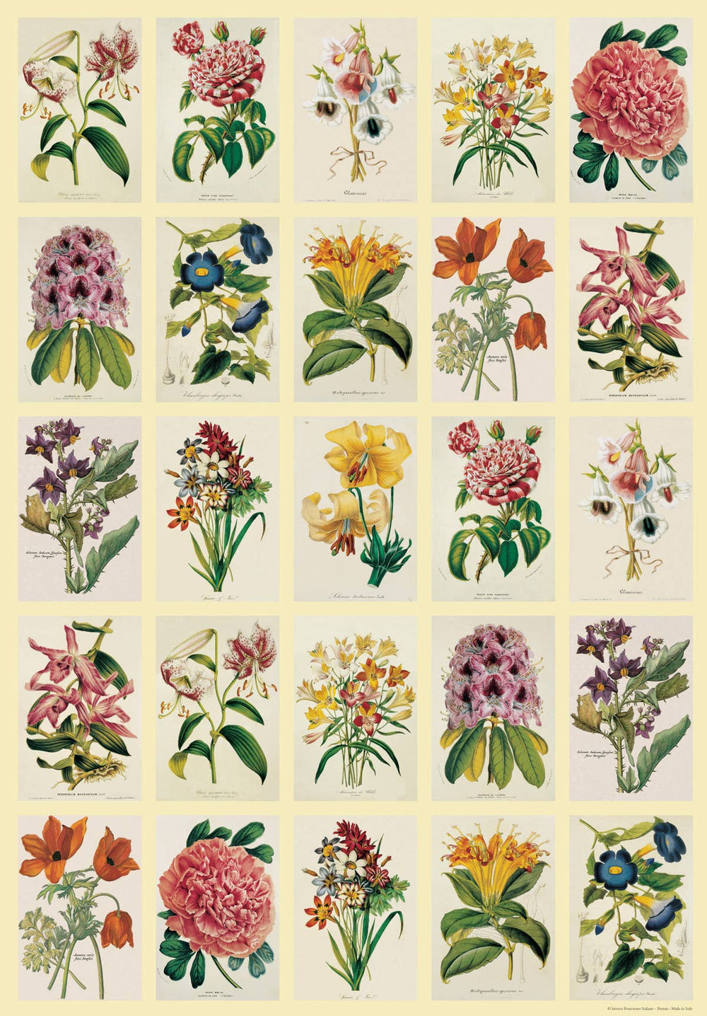 Vintage Art Posters, Instituto Fotochromo Italiano, Classic