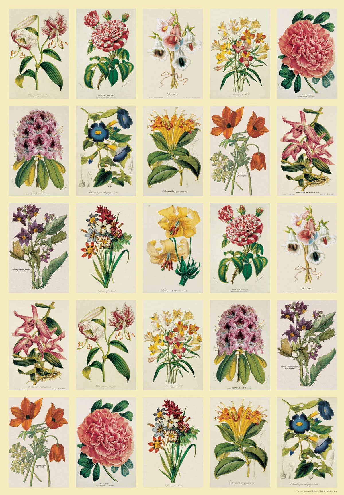 Vintage Art Posters, Instituto Fotochromo Italiano, Classic
