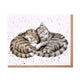 Sweet Dreams Single Card