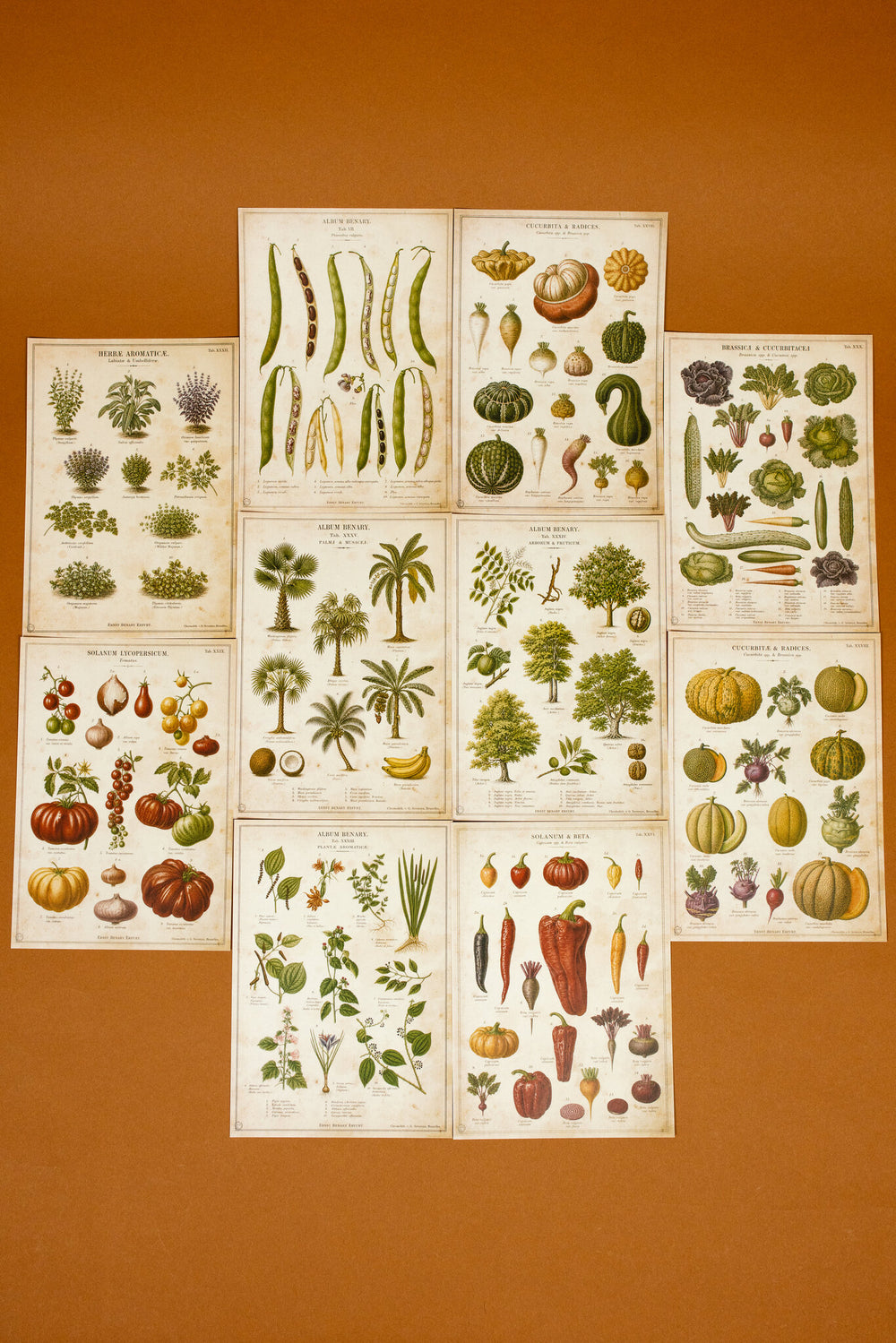Vintage Farm & Garden Botanical Illustration Plates Paper Set