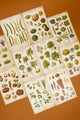 Vintage Farm & Garden Botanical Illustration Plates Paper Set