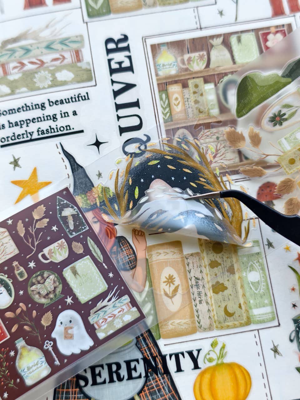 Boo's Shelf Pre-cut PET Tape [3.O]