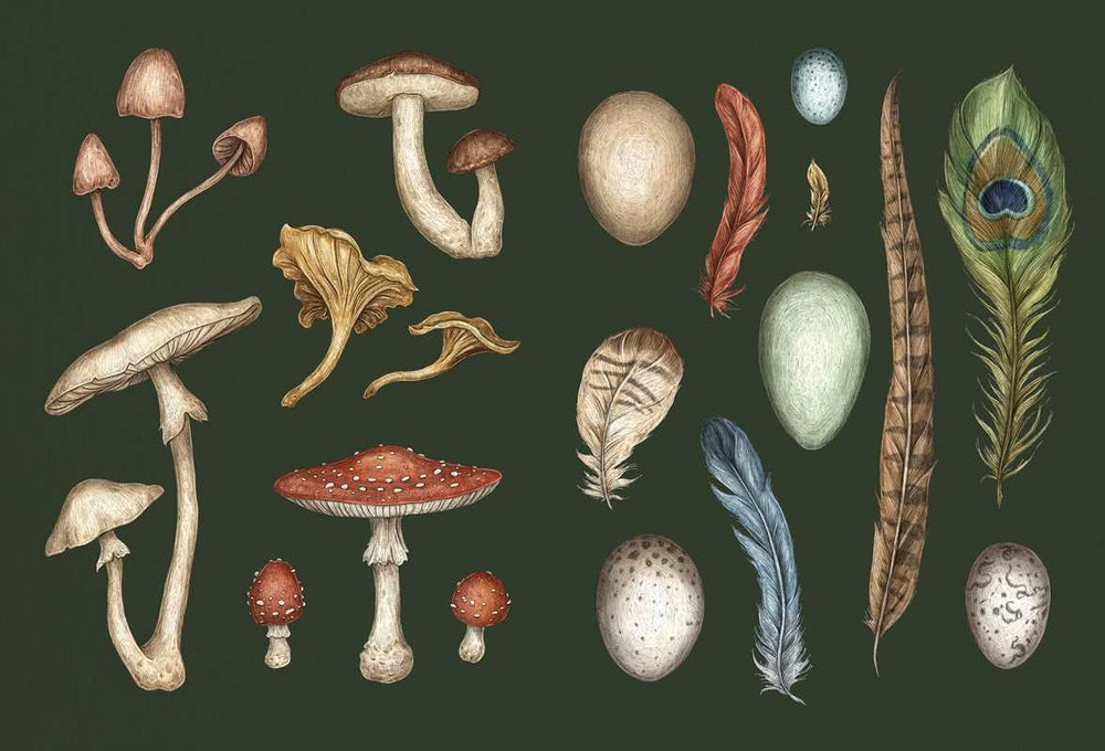 The Collector's Curio: A Sticker Treasury by Jessica Roux