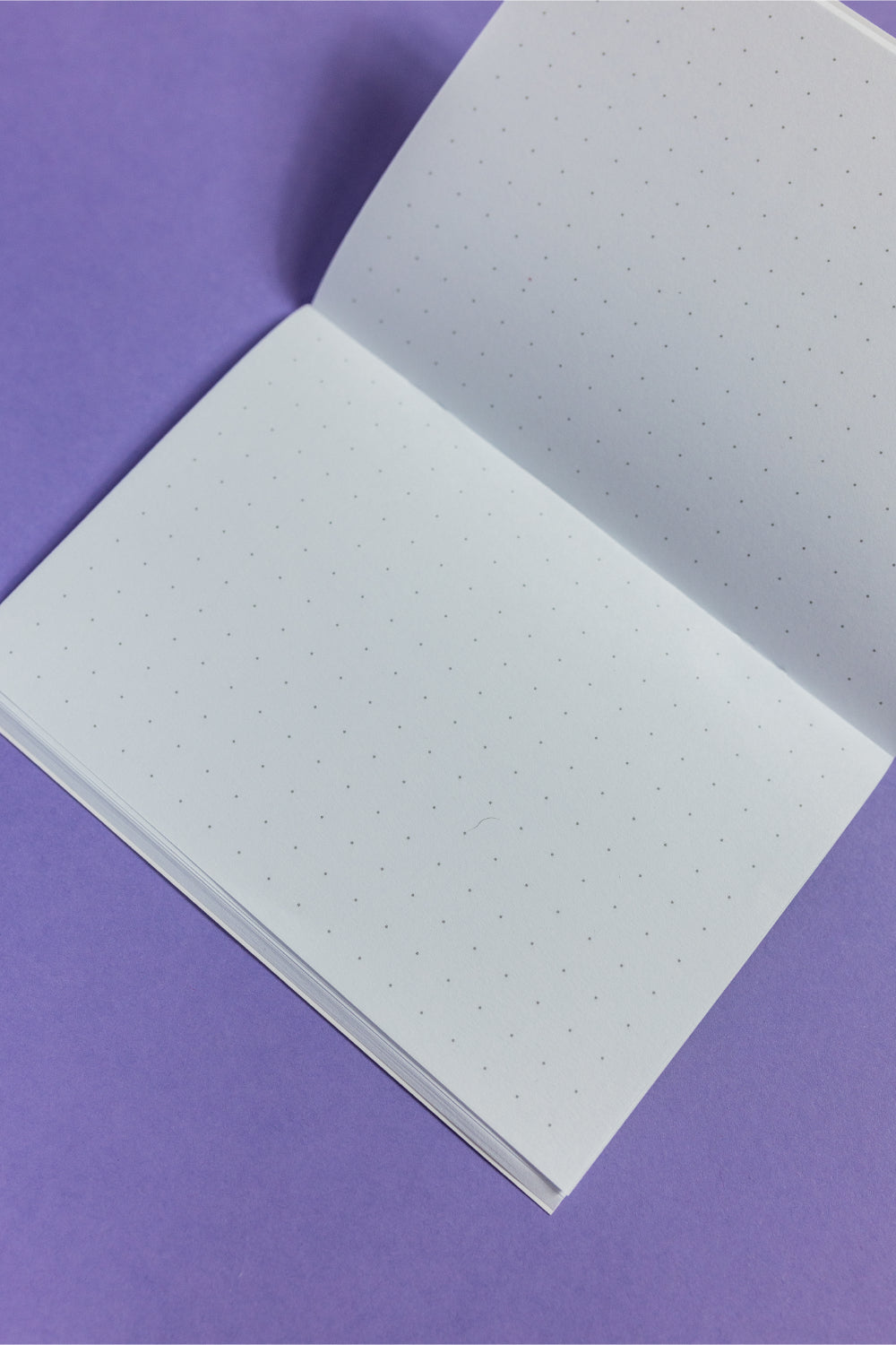Fortune Notebooks