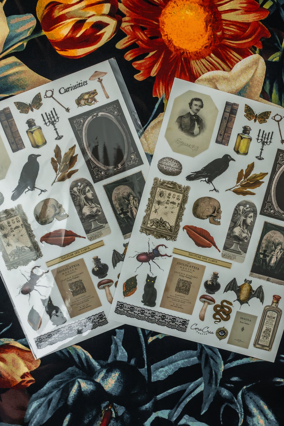 Curiosities Sticker Sheet — Sticker Sheets | CoraCreaC