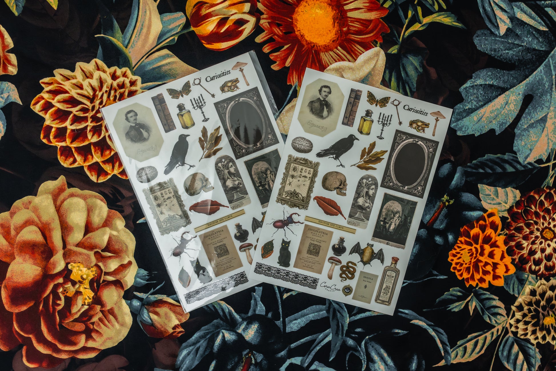 Curiosities Sticker Sheet