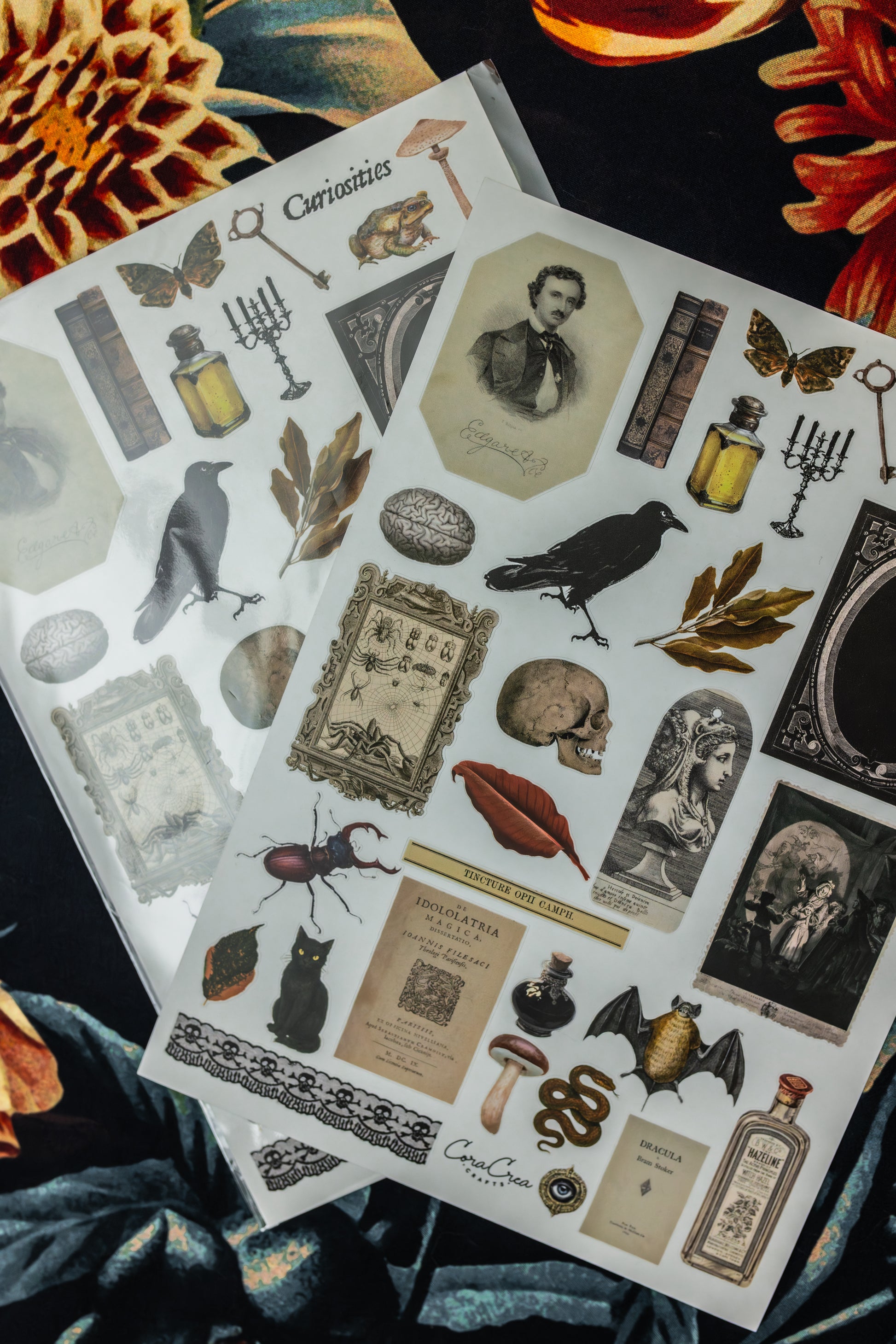 Curiosities Sticker Sheet