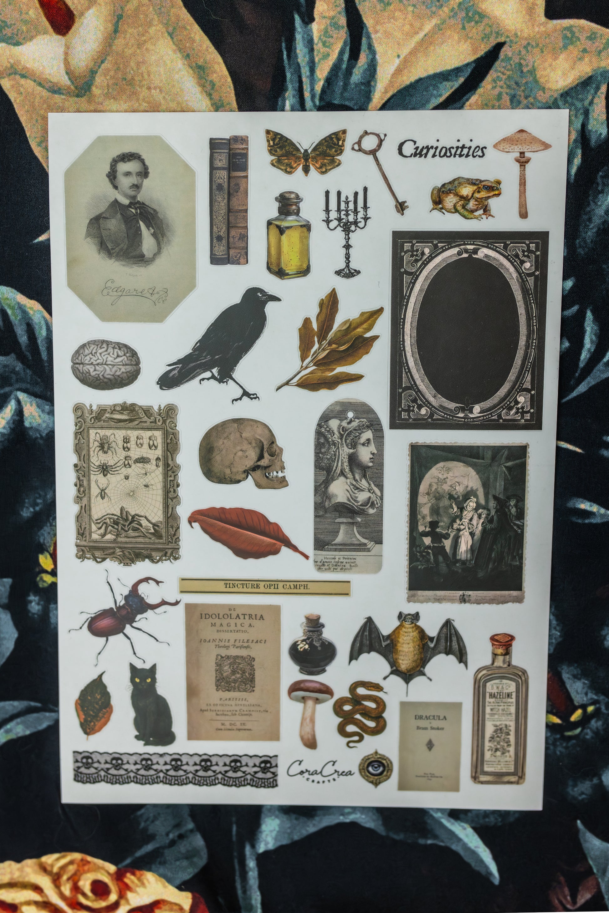 Curiosities Sticker Sheet