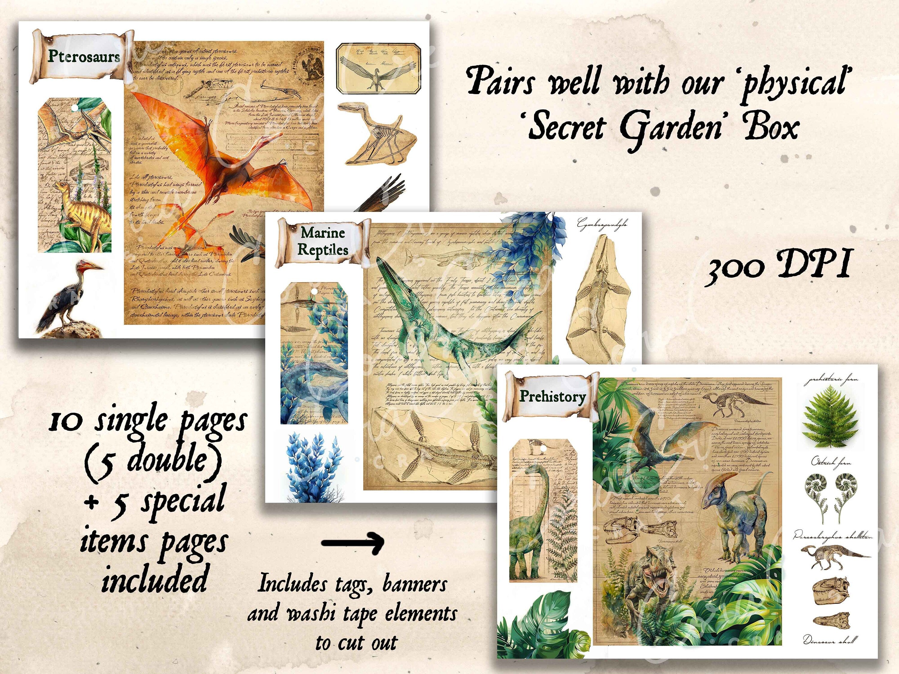 Prehistory Digital Journal Kit