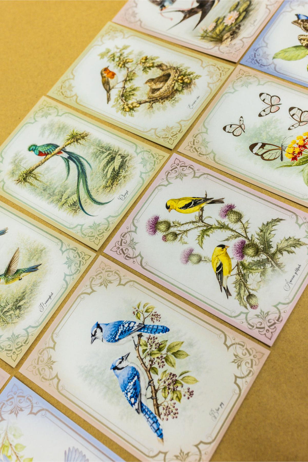 Vintage Spring Postcards