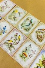 Vintage Spring Postcards