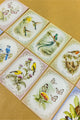 Vintage Spring Postcards