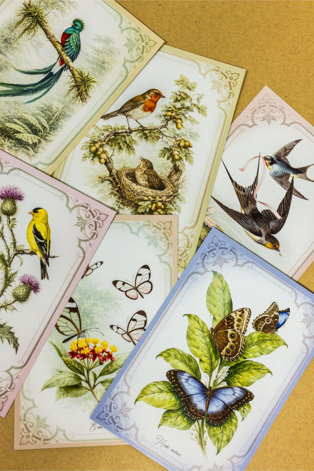 Vintage Spring Postcards