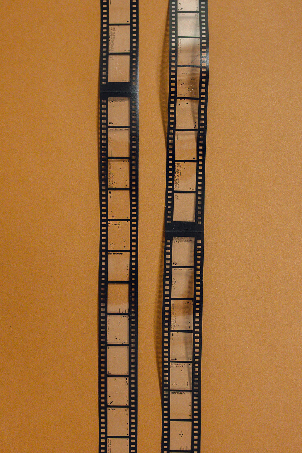 Vintage Film Loop