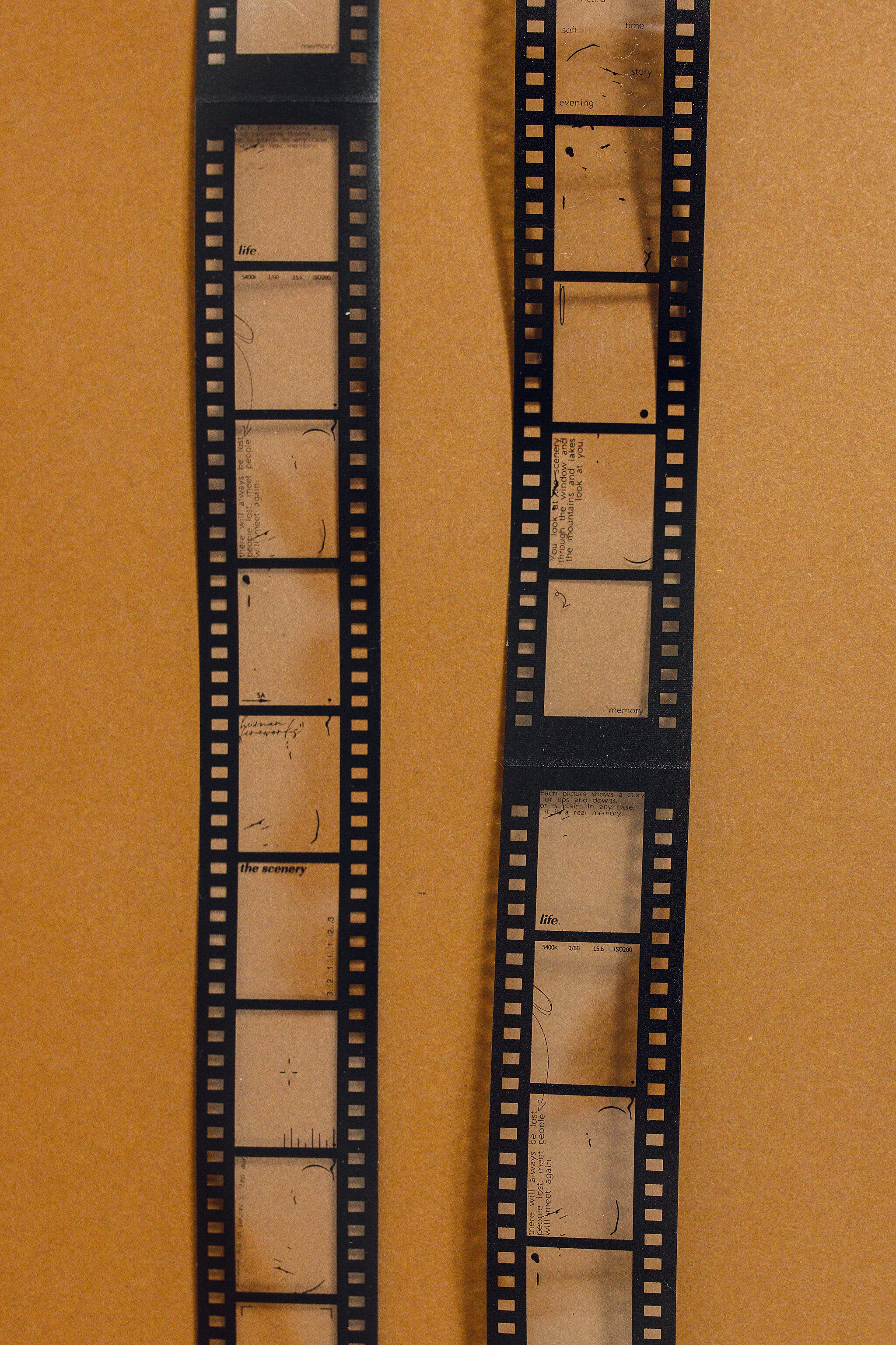 Vintage Film Loop