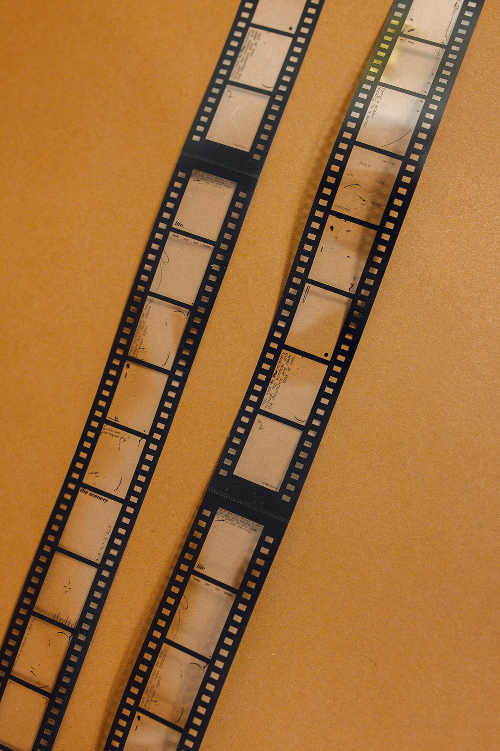 Vintage Film Loop