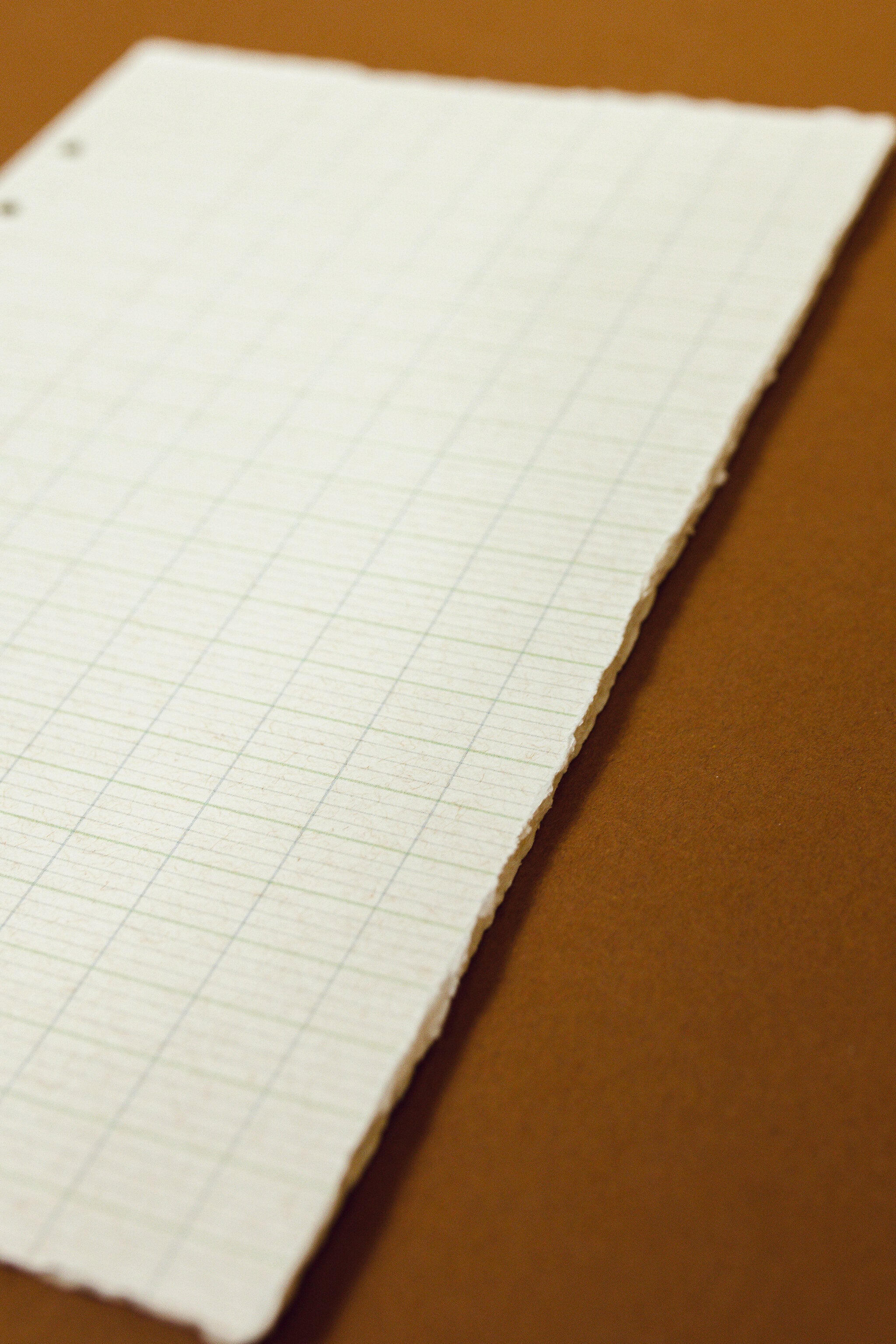 Natural Paper Binder Insert