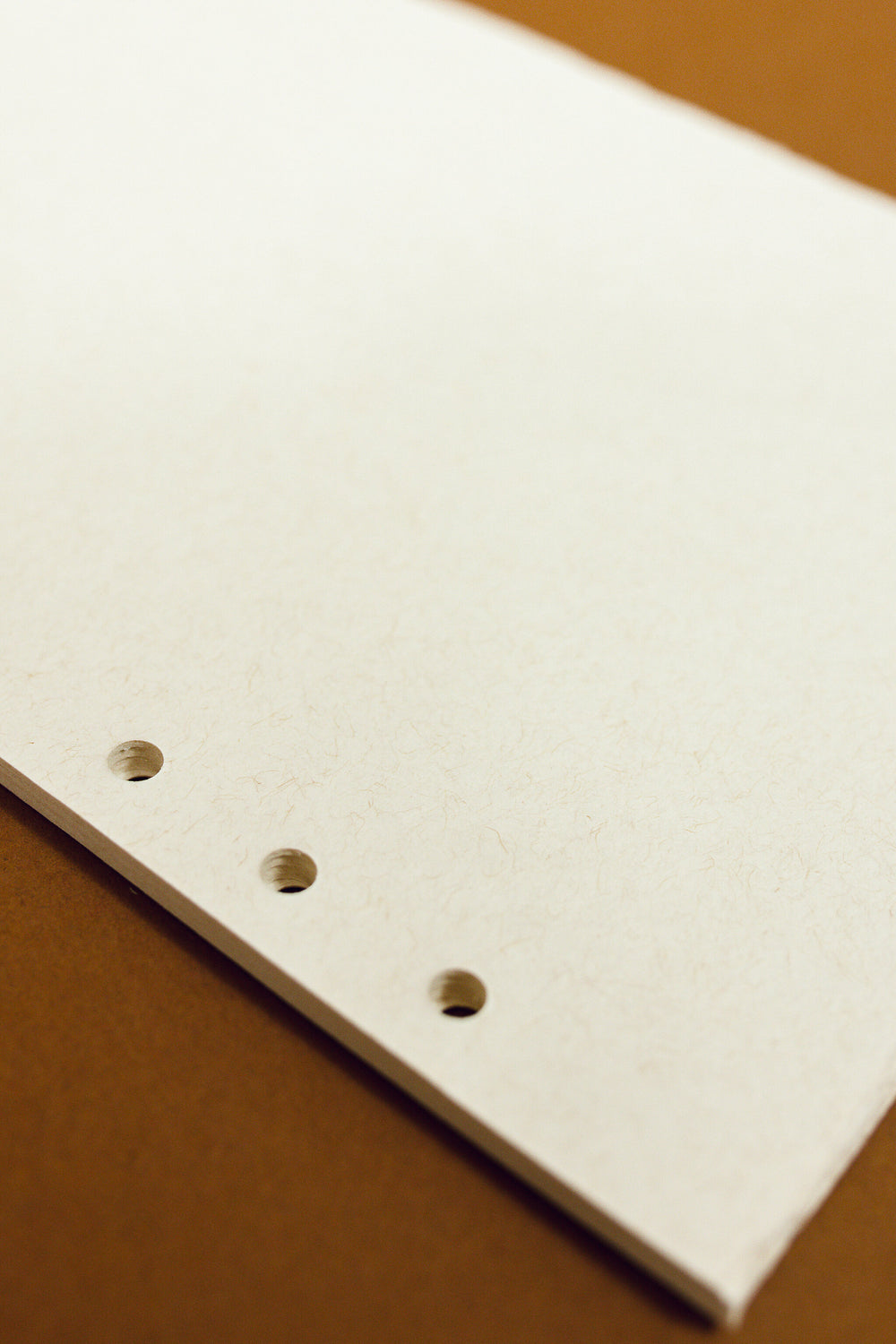 Natural Paper Binder Insert