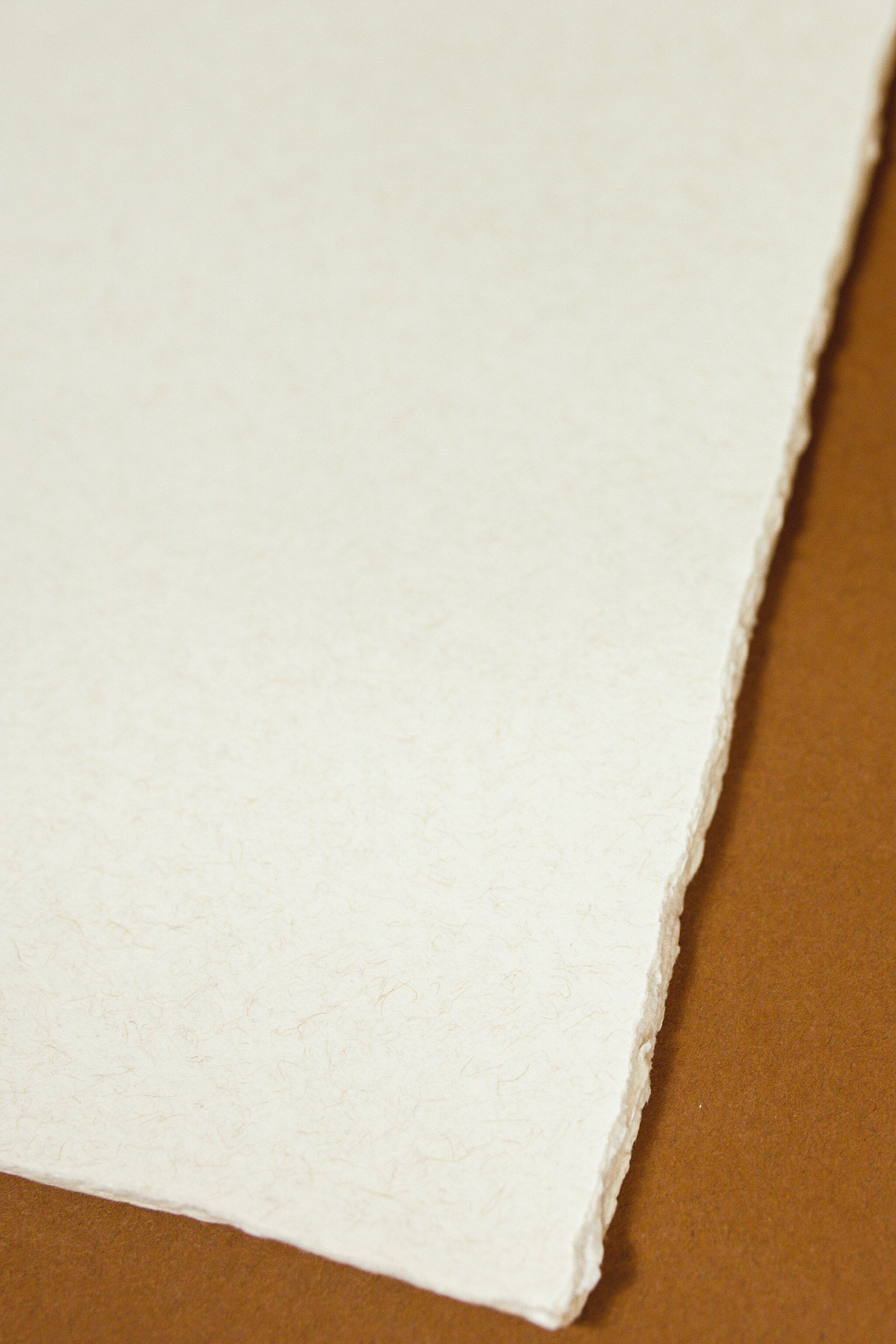 Natural Paper Binder Insert