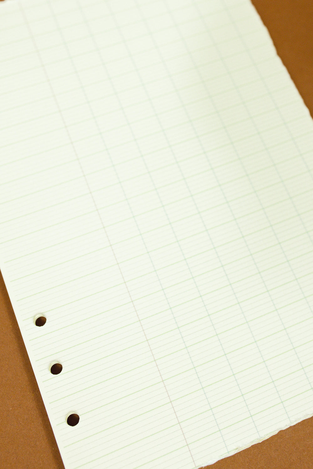 Natural Paper Binder Insert