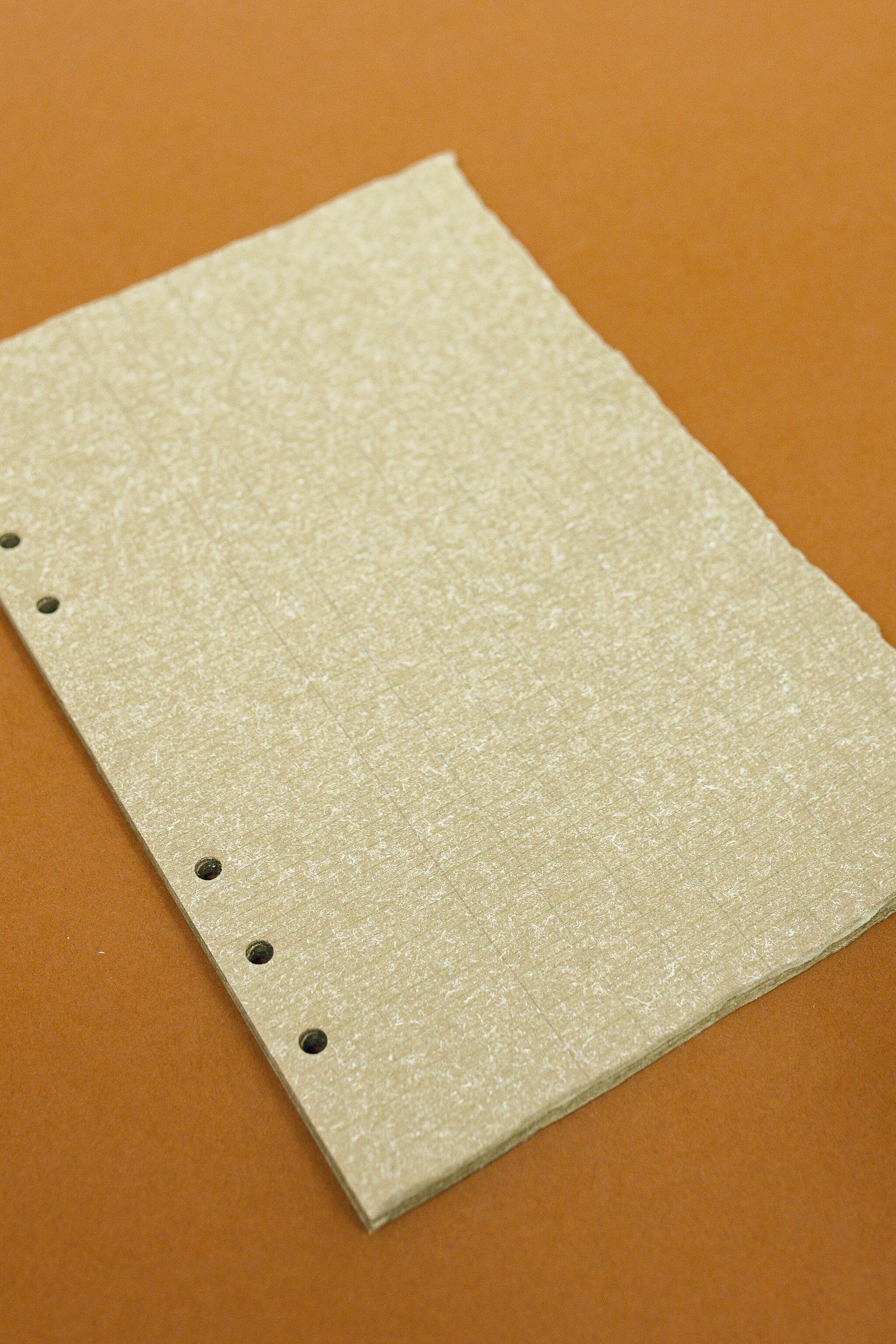 Natural Paper Binder Insert
