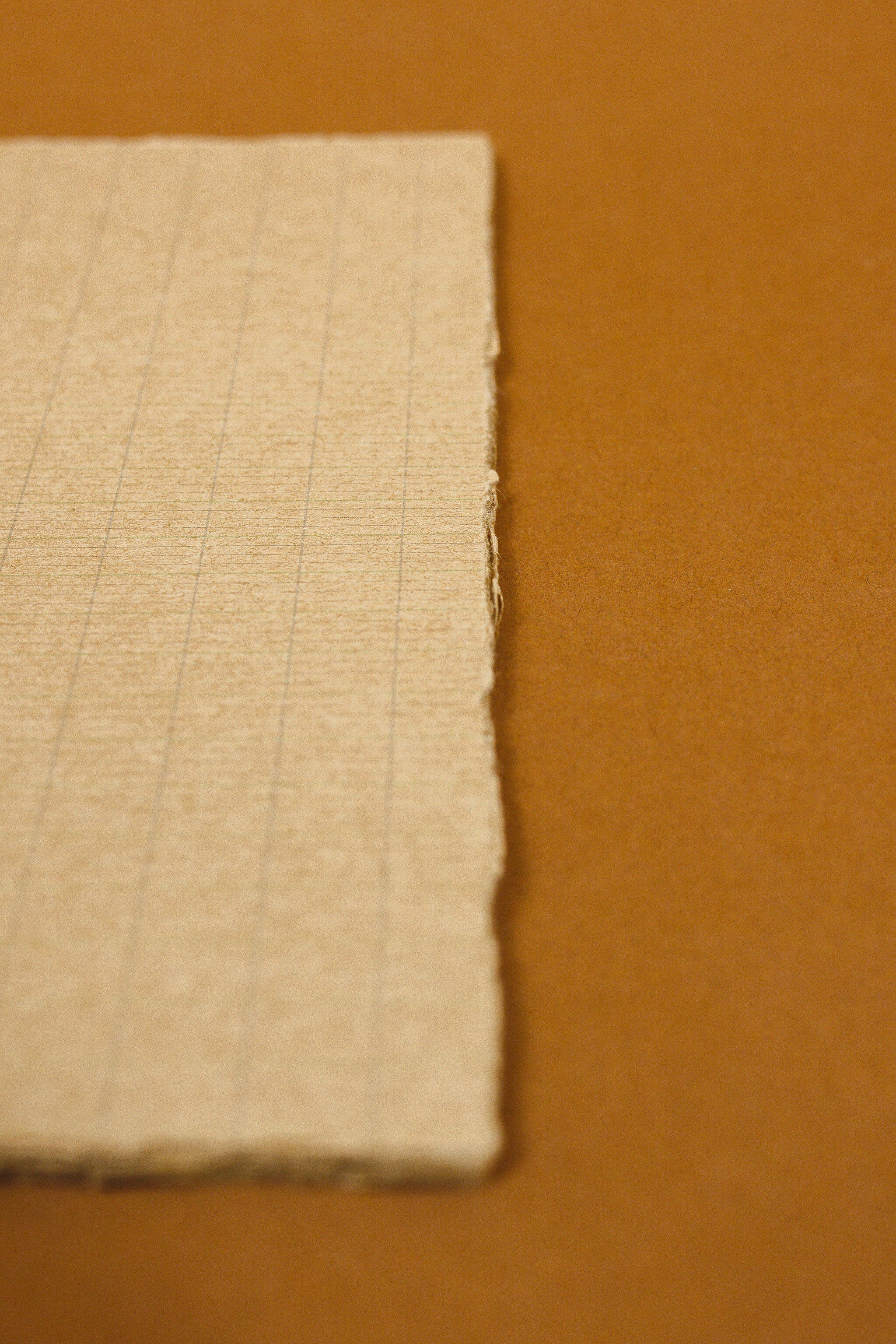 Natural Paper Binder Insert