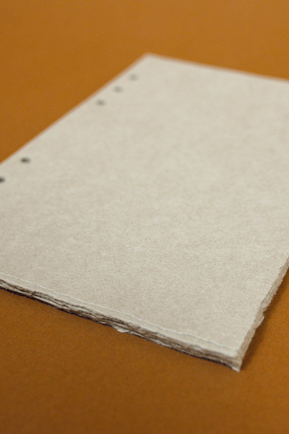 Natural Paper Binder Insert