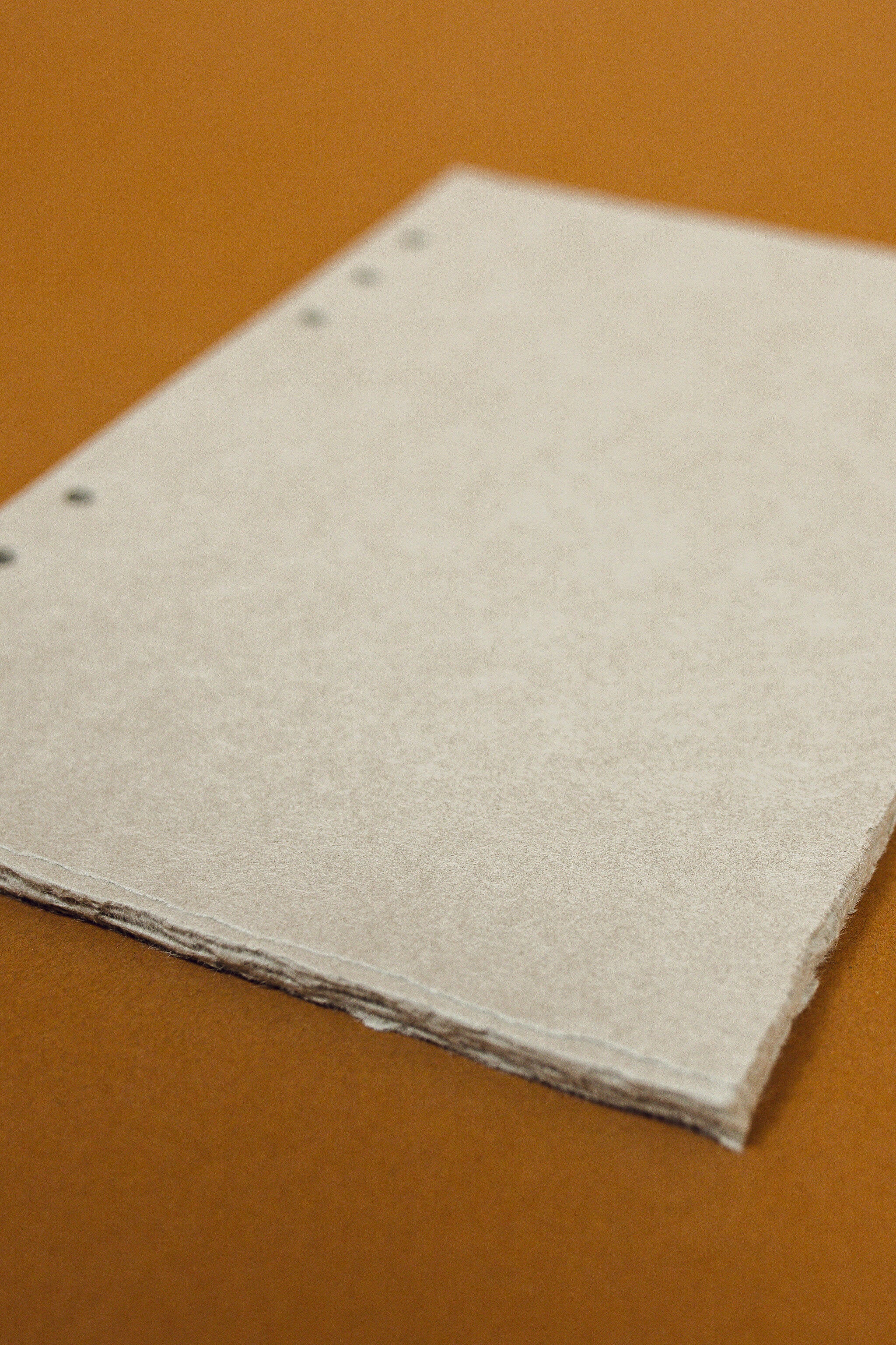 Natural Paper Binder Insert