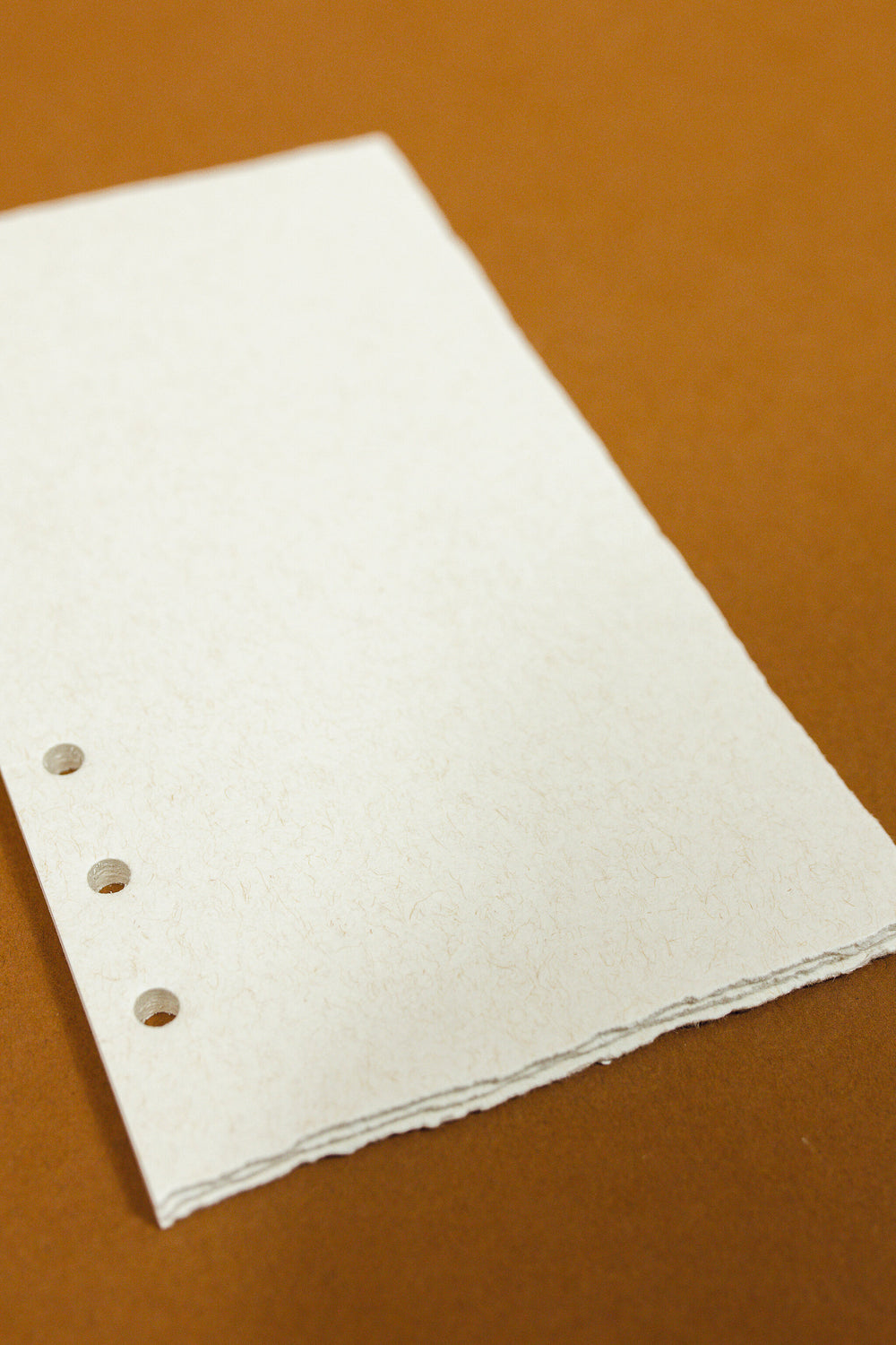 Natural Paper Binder Insert