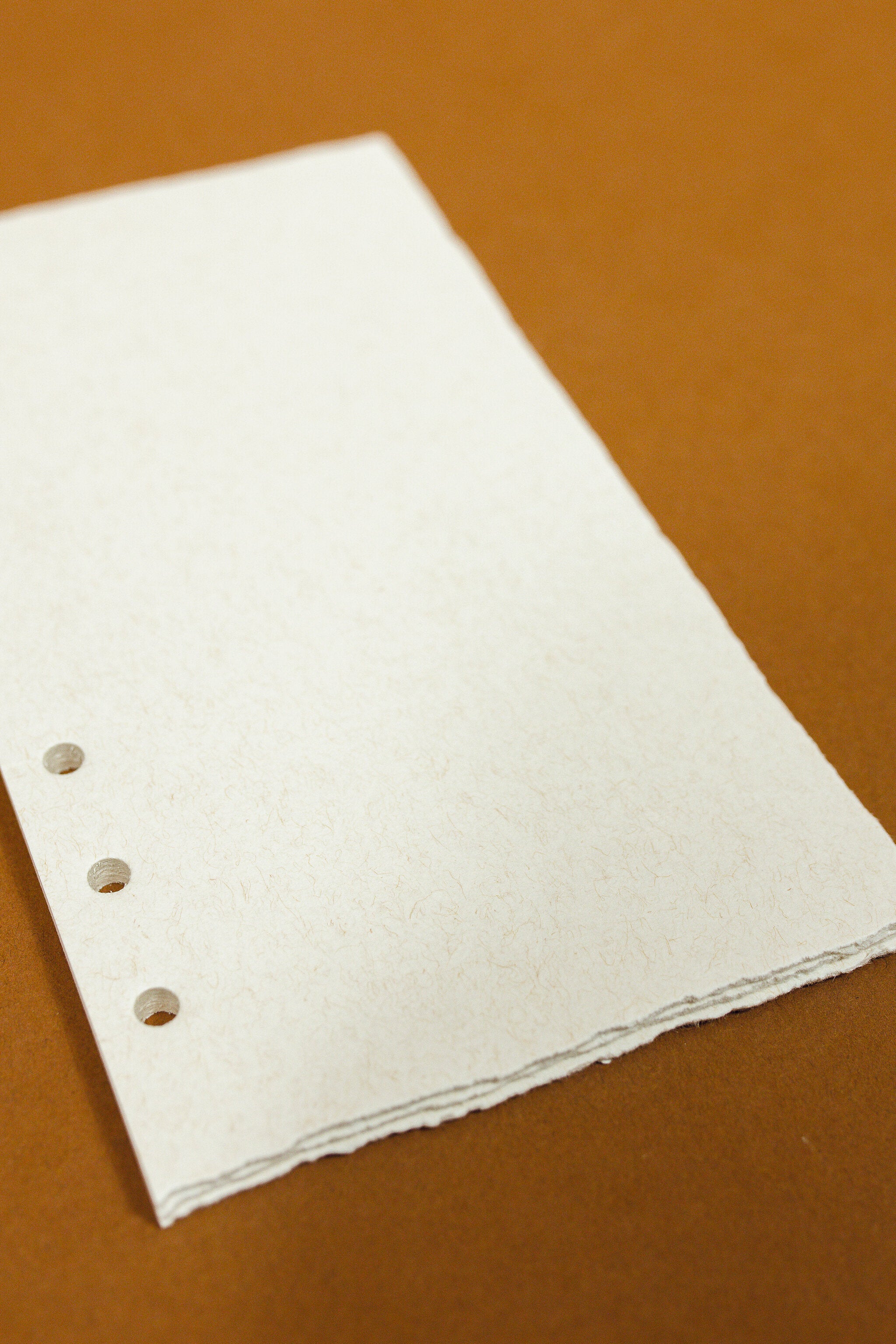 Natural Paper Binder Insert