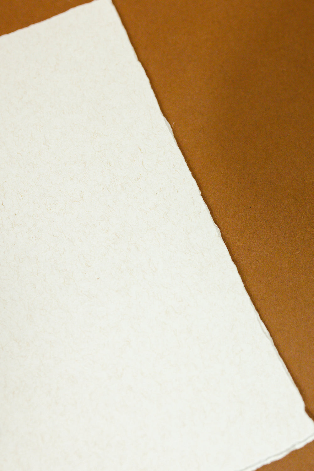 Natural Paper Binder Insert