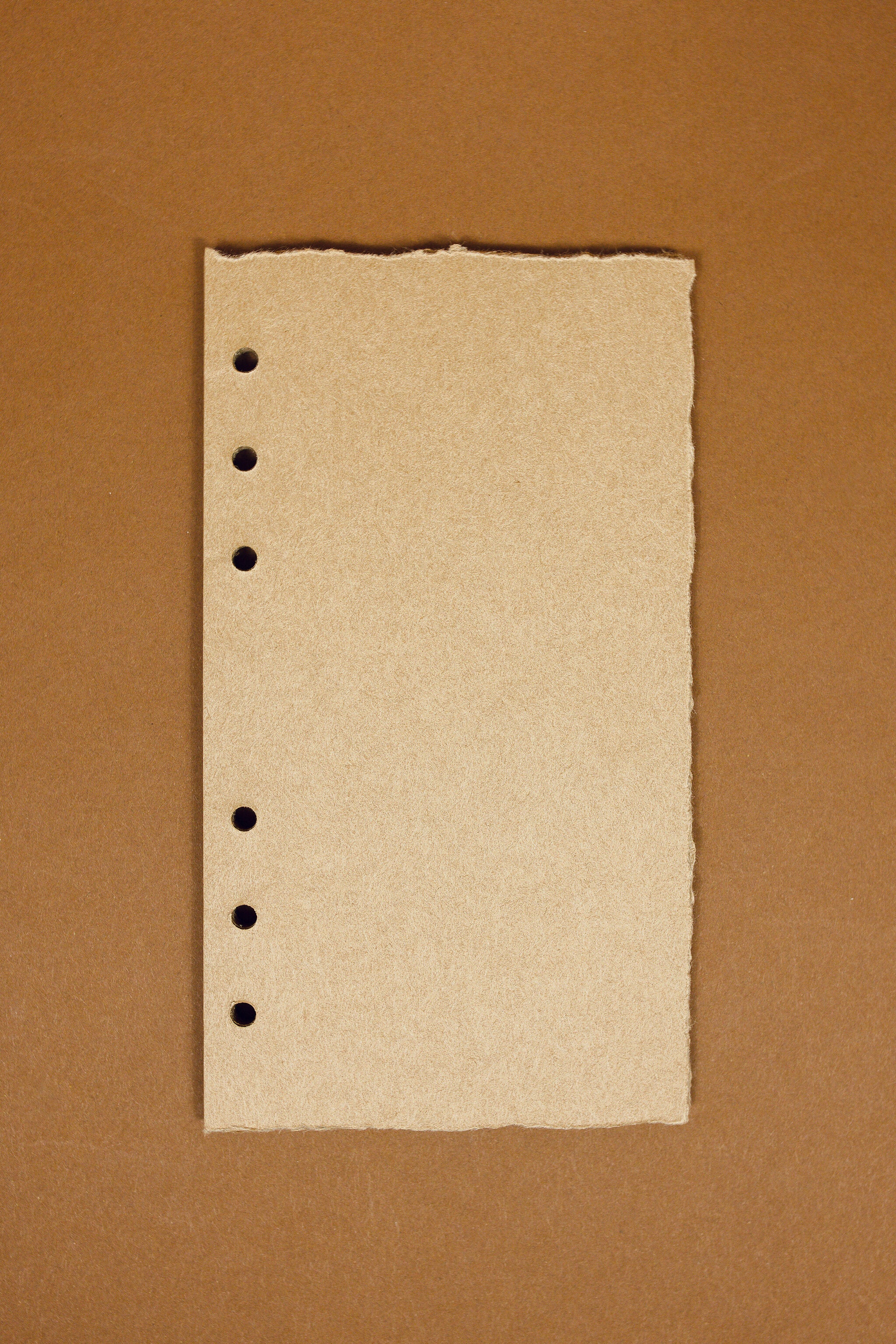 Natural Paper Binder Insert