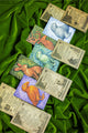 Manuscript & Animals Paper Set
