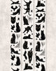 Midnight Familiars Transparent Tape