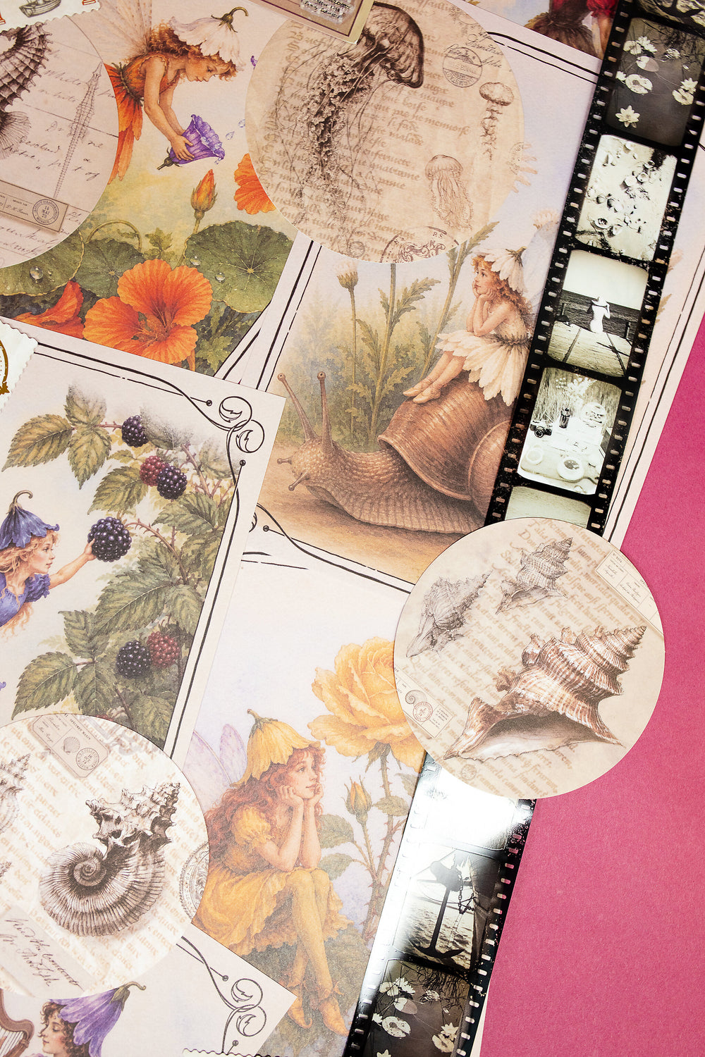 Curiosities Box - Bimonthly Subscription
