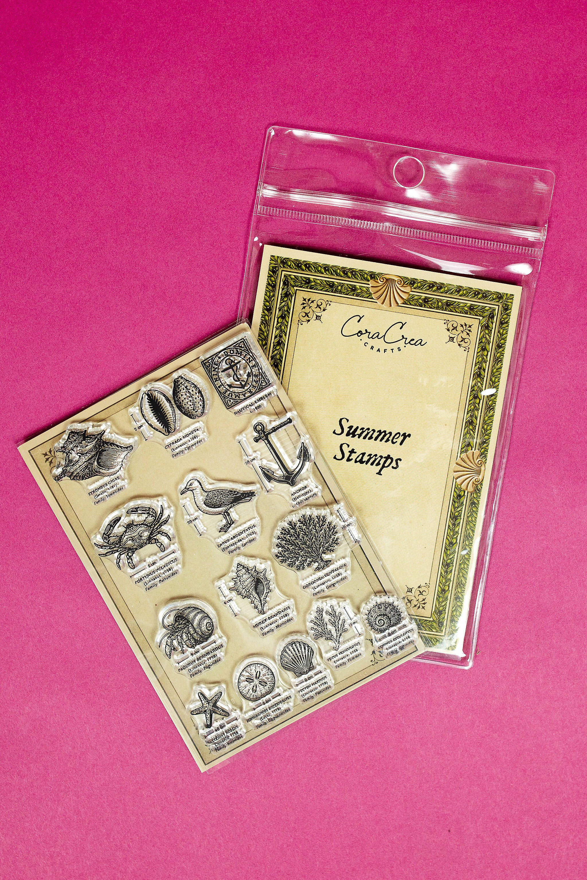 Summer Clear Stamps