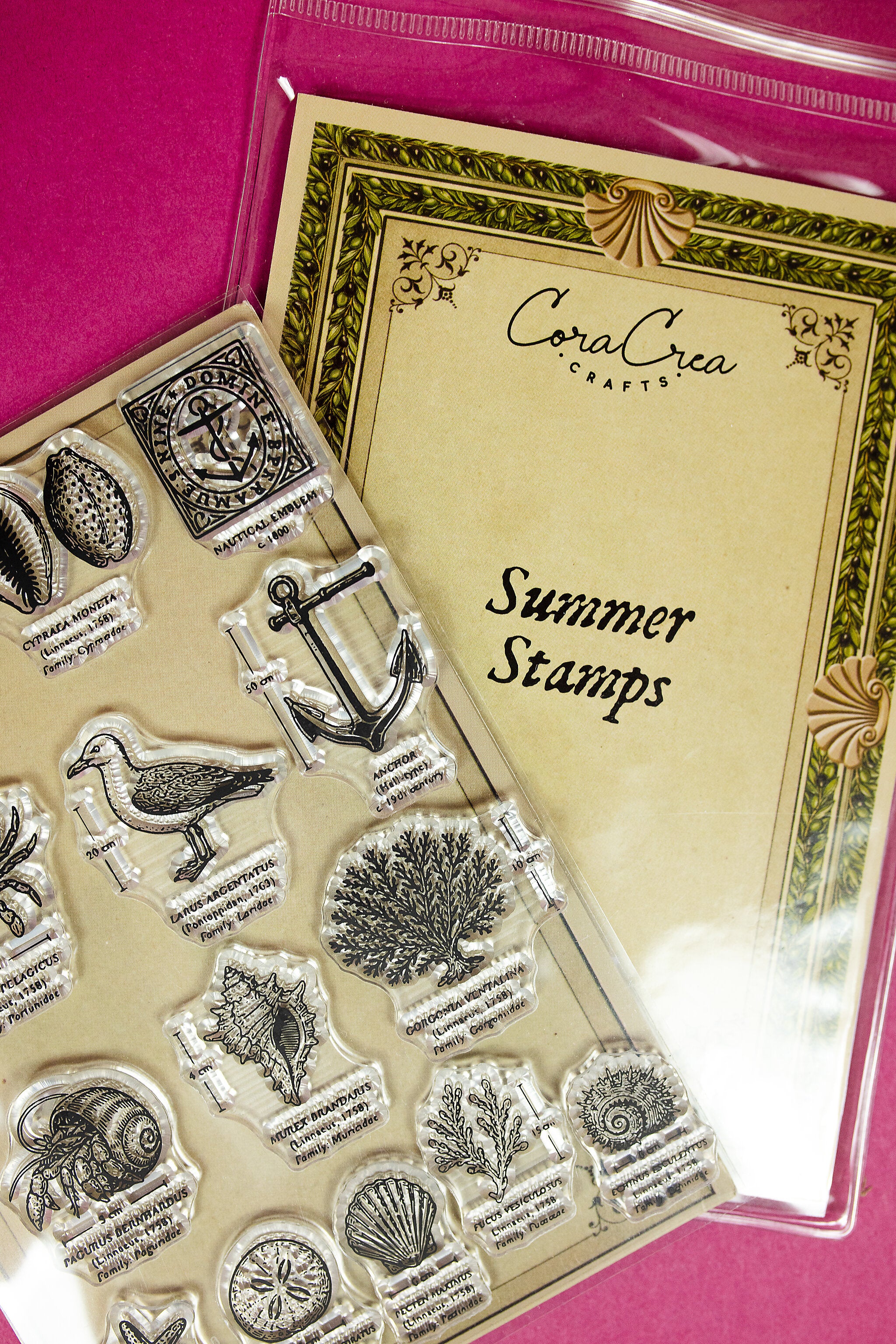Summer Clear Stamps