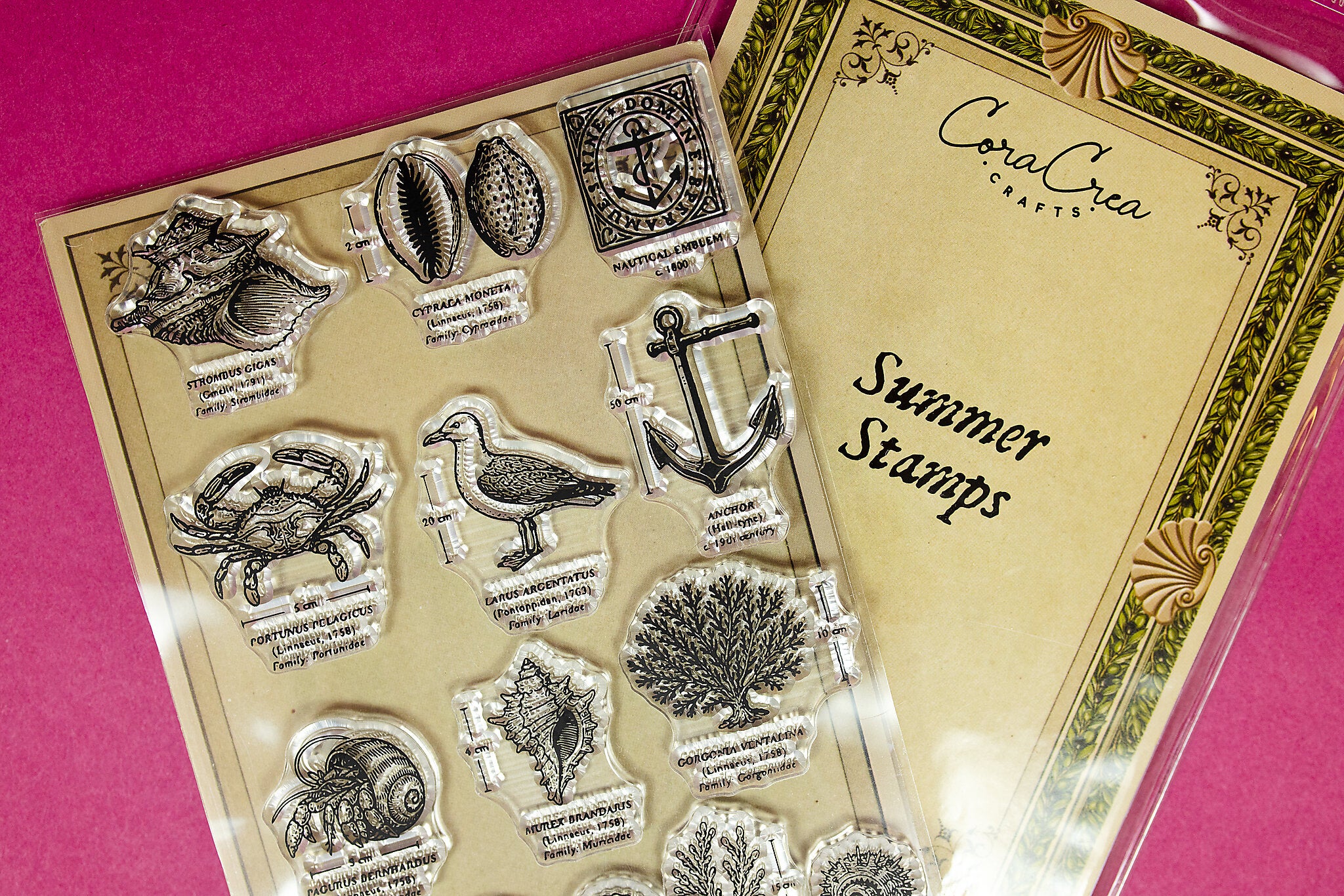 Summer Clear Stamps