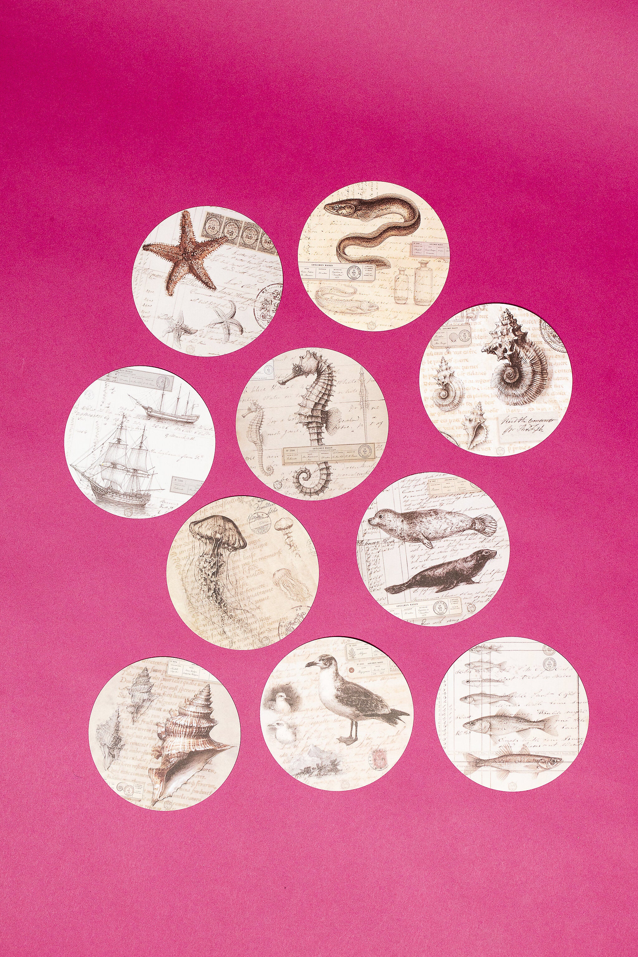 Marine Specimen Round Paper Set