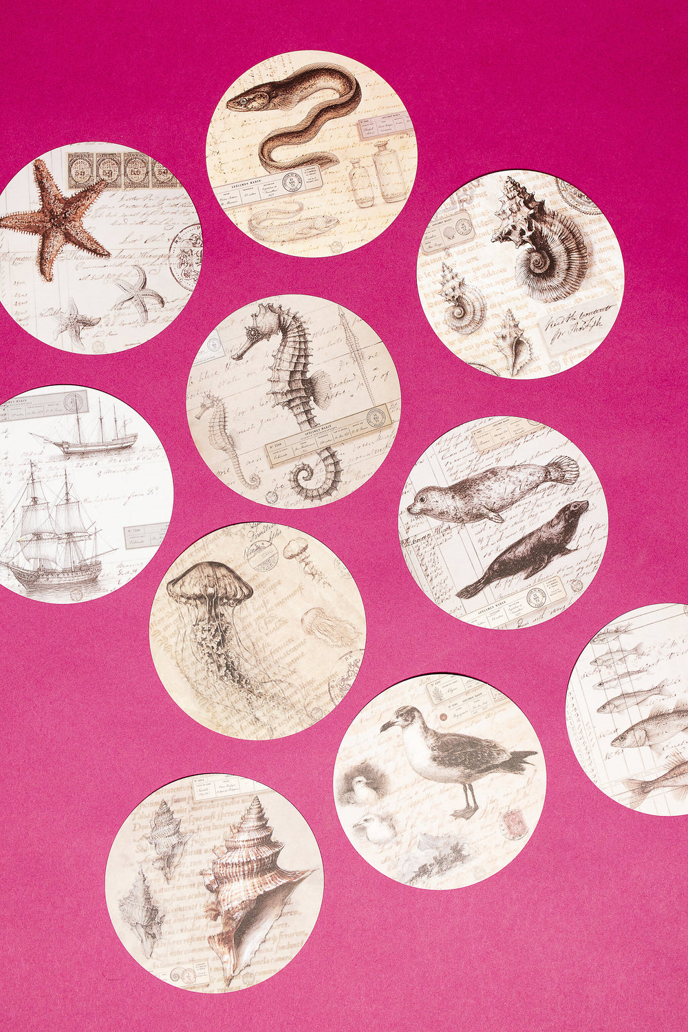 Marine Specimen Round Paper Set