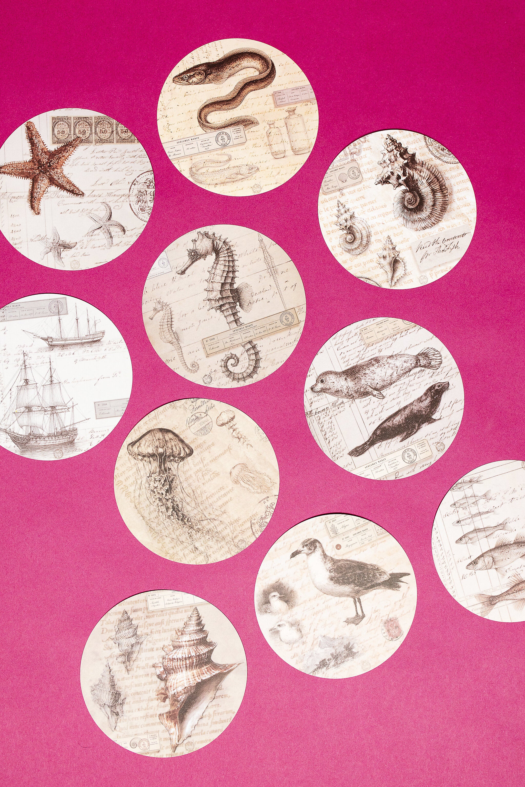 Marine Specimen Round Paper Set