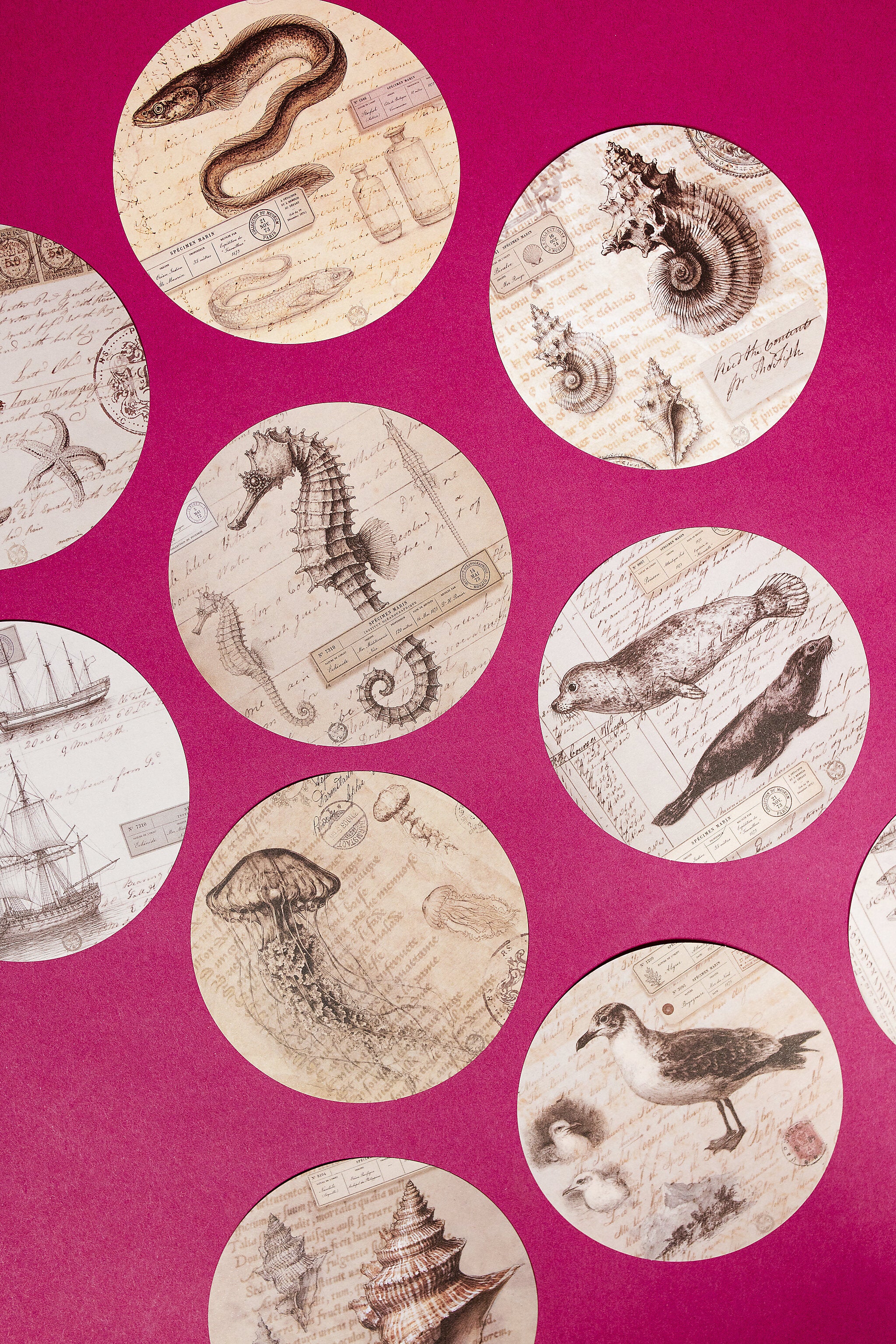 Marine Specimen Round Paper Set