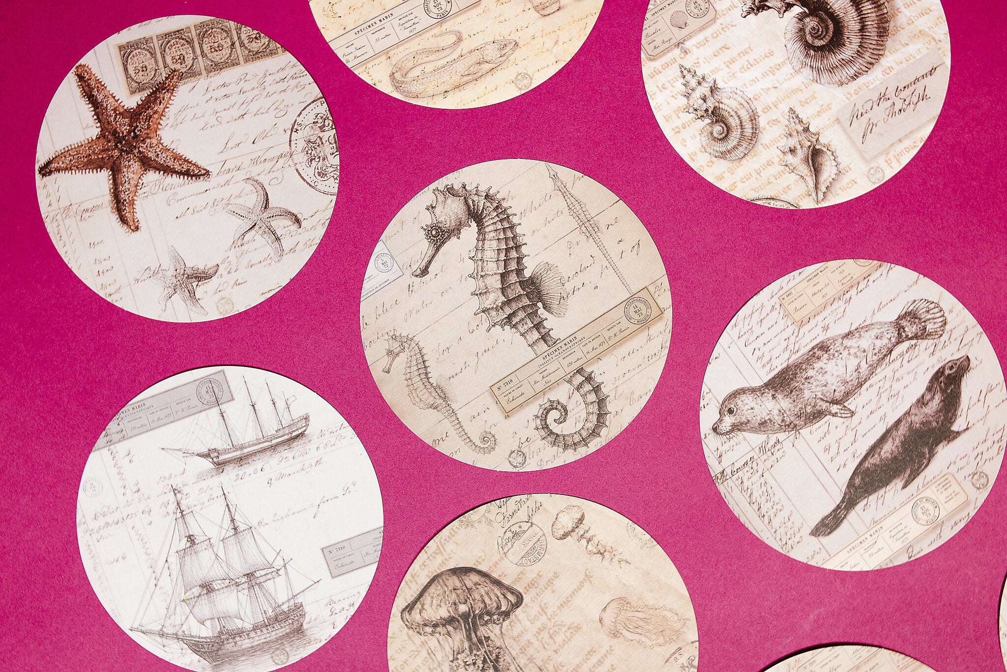 Marine Specimen Round Paper Set