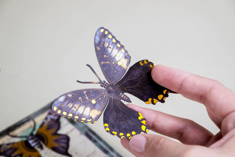 Hand holding a detailed butterfly paper cutout from the Specimen Ephemera Mysteries of the Night set