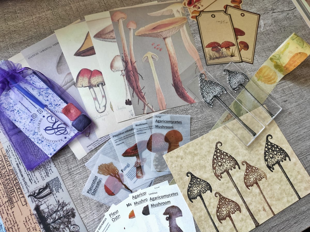 Autumn - October 2020 subscription box image 1