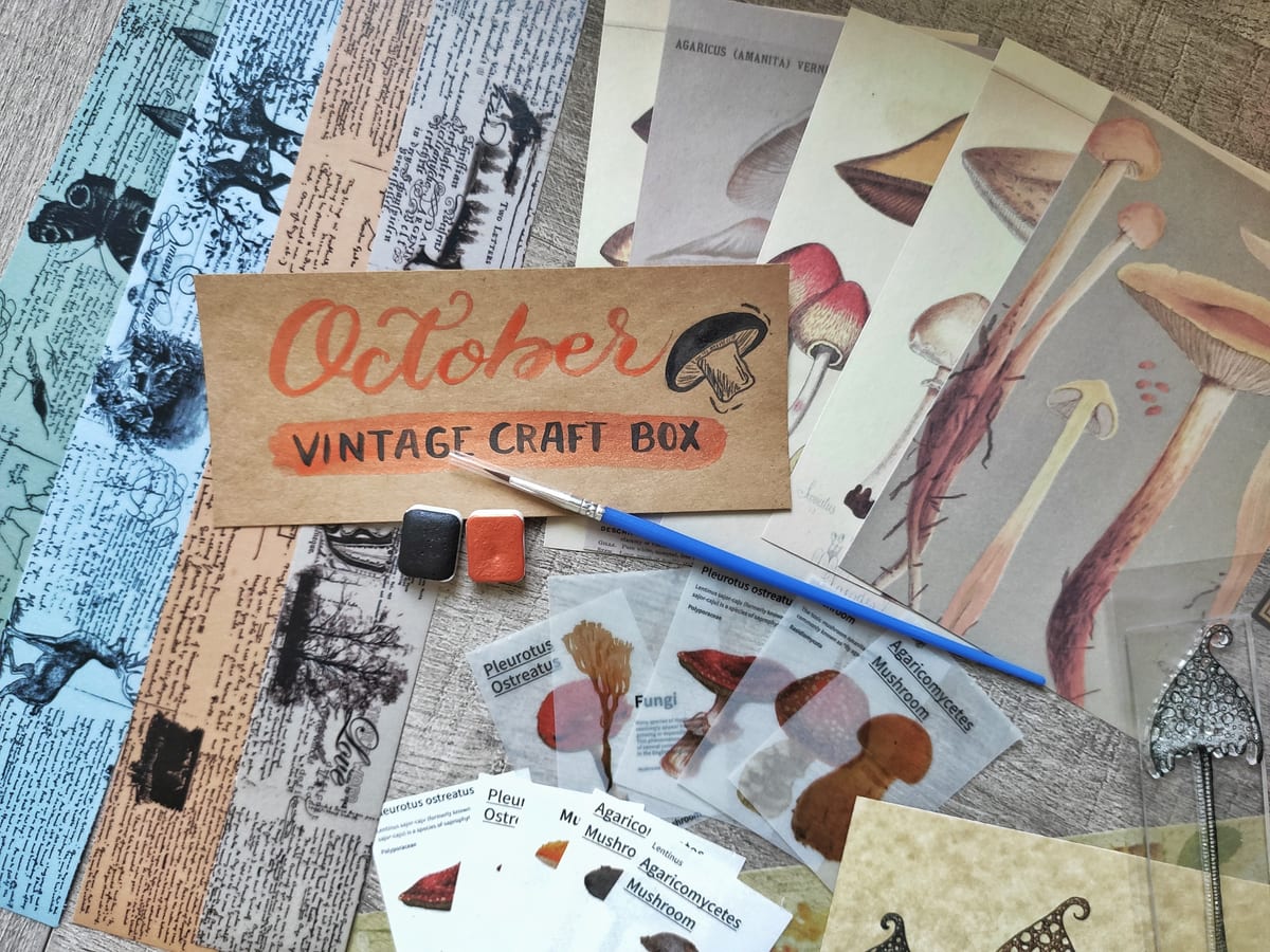 Autumn - October 2020 subscription box image 3