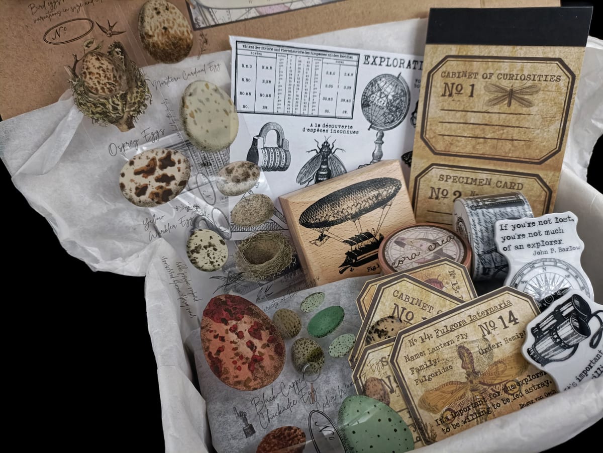 Explorer - June 2022 subscription box image 2