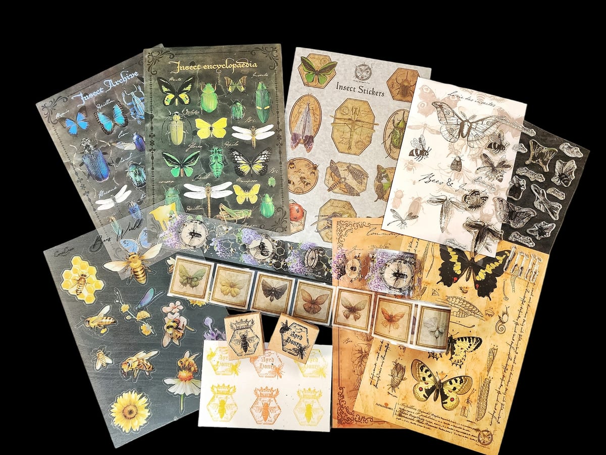 Butterflies & Insects - May 2023 subscription box image 1