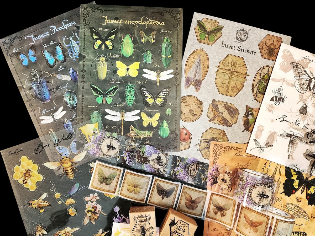 Butterflies & Insects - May 2023 subscription box image 2